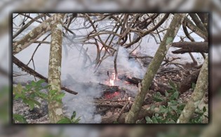 সকাল থেকে এখনো জ্বলছে সুন্দরবন